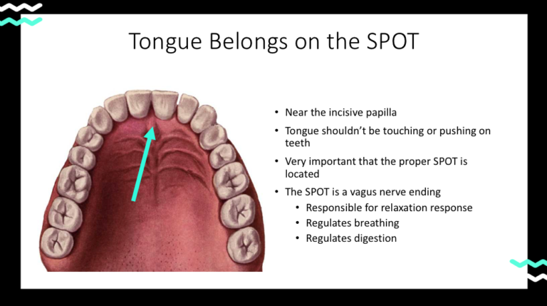 Where Should the Tip of My Tongue Go? | Tongue on the Spot